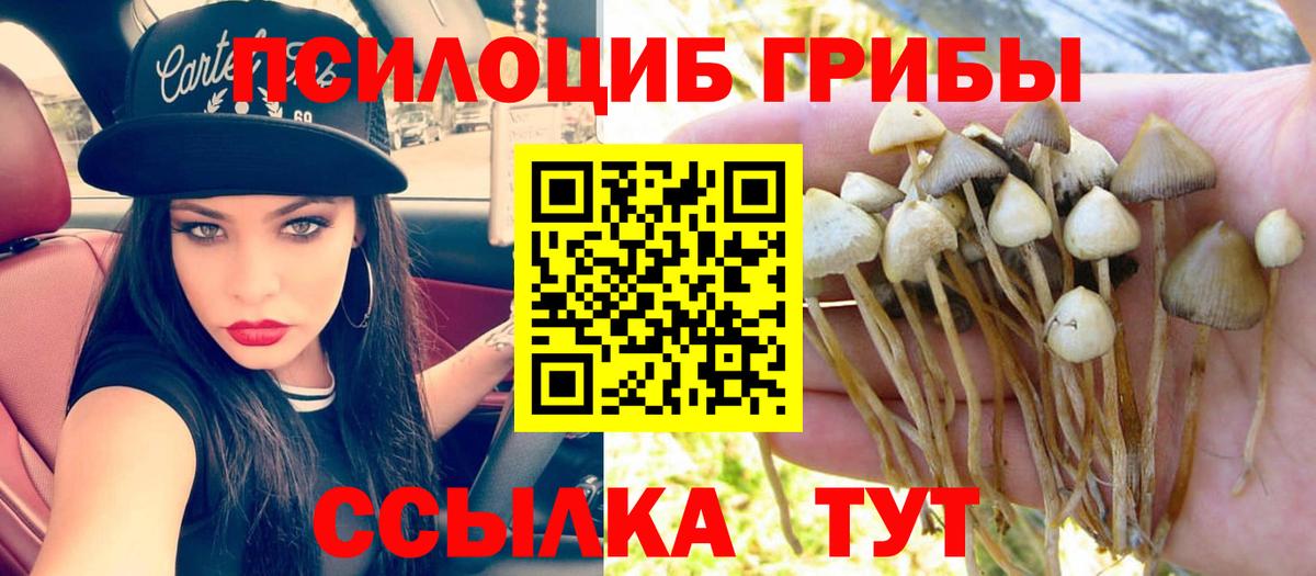 Дубна  Галлюциногенные грибы GOLDEN TEACHER  Вход с VPN  Псилоцибиновые грибы Psilocybe 