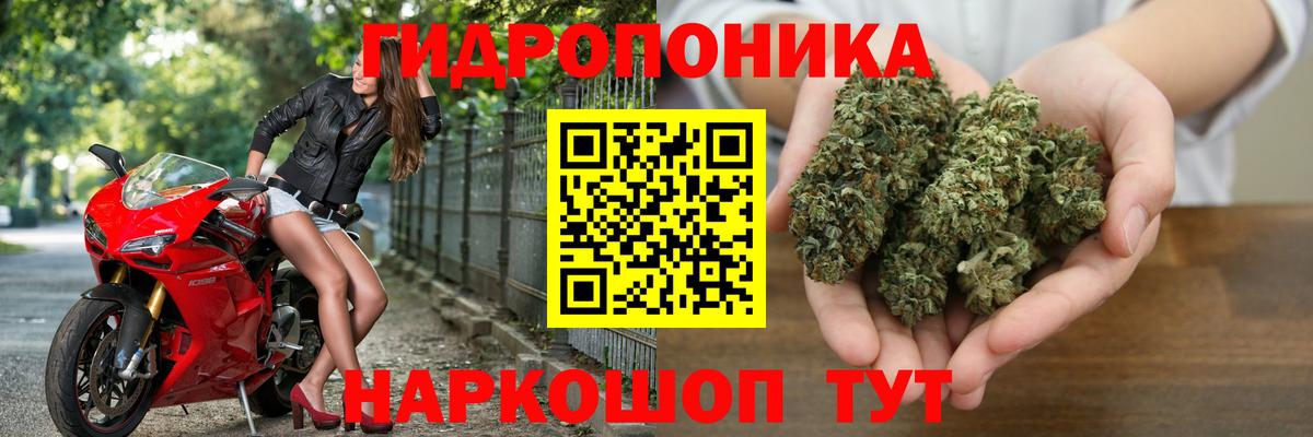 Бошки марихуана Amnesia Дубна